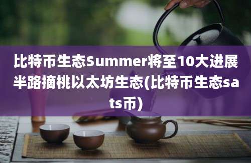 比特币生态Summer将至10大进展半路摘桃以太坊生态(比特币生态sats币)