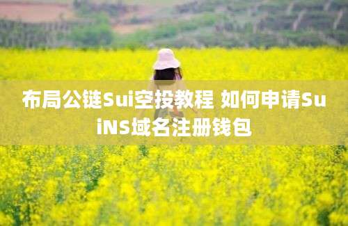 布局公链Sui空投教程 如何申请SuiNS域名注册钱包