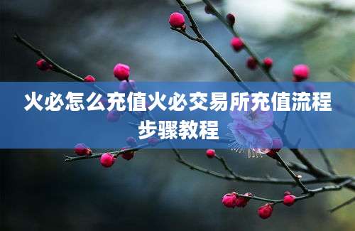 火必怎么充值火必交易所充值流程步骤教程