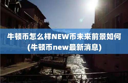 牛顿币怎么样NEW币未来前景如何(牛顿币new最新消息)