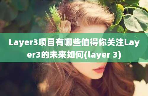 Layer3项目有哪些值得你关注Layer3的未来如何(layer 3)