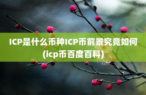 ICP是什么币种ICP币前景究竟如何(icp币百度百科)