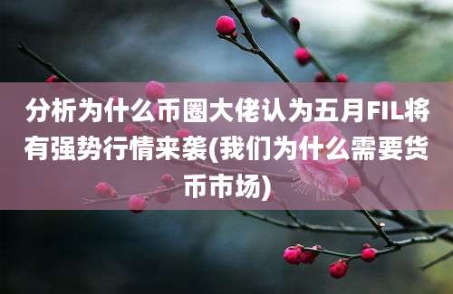 分析为什么币圈大佬认为五月FIL将有强势行情来袭(我们为什么需要货币市场)