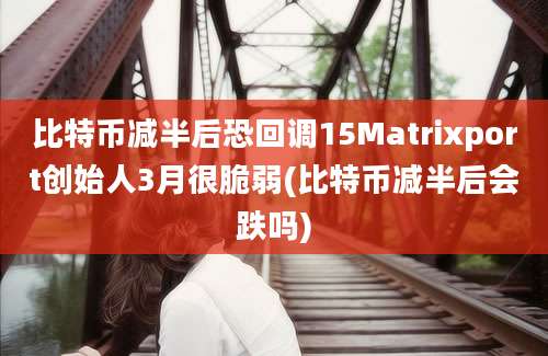 比特币减半后恐回调15Matrixport创始人3月很脆弱(比特币减半后会跌吗)