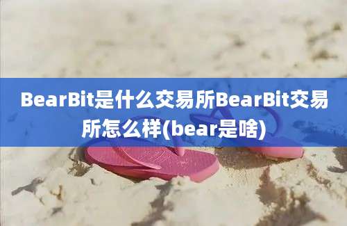 BearBit是什么交易所BearBit交易所怎么样(bear是啥)