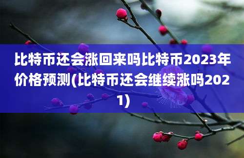 比特币还会涨回来吗比特币2023年价格预测(比特币还会继续涨吗2021)