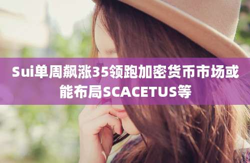 Sui单周飙涨35领跑加密货币市场或能布局SCACETUS等