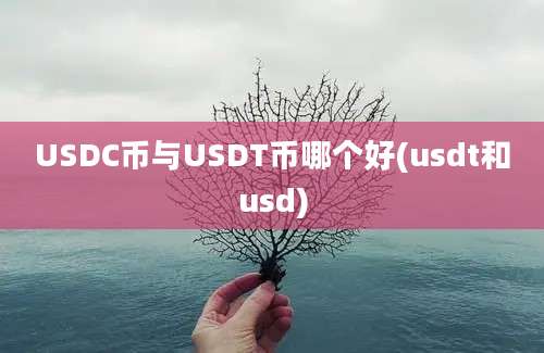 USDC币与USDT币哪个好(usdt和usd)