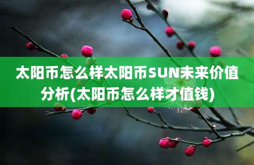 太阳币怎么样太阳币SUN未来价值分析(太阳币怎么样才值钱)