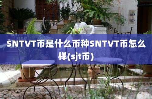 SNTVT币是什么币种SNTVT币怎么样(sjt币)