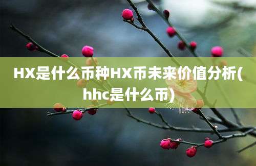 HX是什么币种HX币未来价值分析(hhc是什么币)