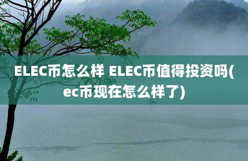 ELEC币怎么样 ELEC币值得投资吗(ec币现在怎么样了)