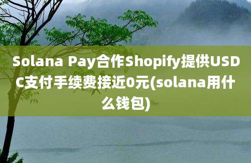 Solana Pay合作Shopify提供USDC支付手续费接近0元(solana用什么钱包)