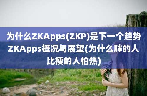 为什么ZKApps(ZKP)是下一个趋势ZKApps概况与展望(为什么胖的人比瘦的人怕热)