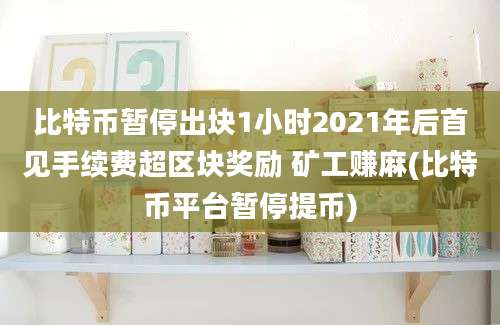 比特币暂停出块1小时2021年后首见手续费超区块奖励 矿工赚麻(比特币平台暂停提币)