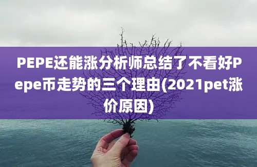 PEPE还能涨分析师总结了不看好Pepe币走势的三个理由(2021pet涨价原因)