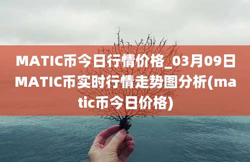 MATIC币今日行情价格_03月09日MATIC币实时行情走势图分析(matic币今日价格)