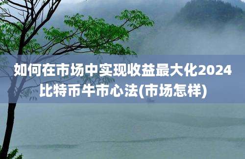 如何在市场中实现收益最大化2024比特币牛市心法(市场怎样)