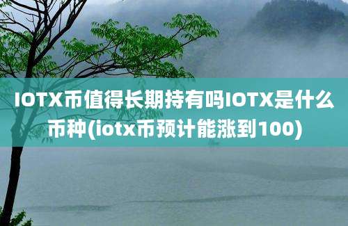 IOTX币值得长期持有吗IOTX是什么币种(iotx币预计能涨到100)