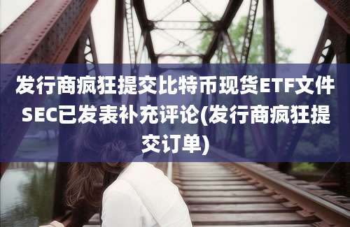 发行商疯狂提交比特币现货ETF文件SEC已发表补充评论(发行商疯狂提交订单)