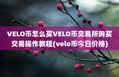 VELO币怎么买VELO币交易所购买交易操作教程(velo币今日价格)