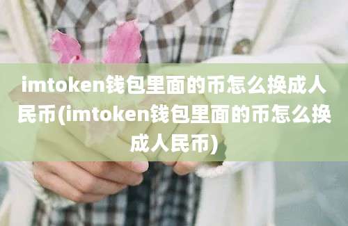 imtoken钱包里面的币怎么换成人民币(imtoken钱包里面的币怎么换成人民币)