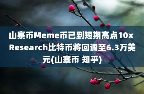 山寨币Meme币已到短期高点10x Research比特币将回调至6.3万美元(山寨币 知乎)