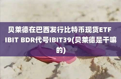 贝莱德在巴西发行比特币现货ETF IBIT BDR代号IBIT39(贝莱德是干嘛的)