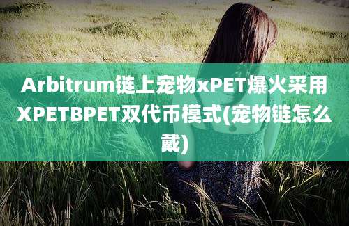 Arbitrum链上宠物xPET爆火采用XPETBPET双代币模式(宠物链怎么戴)