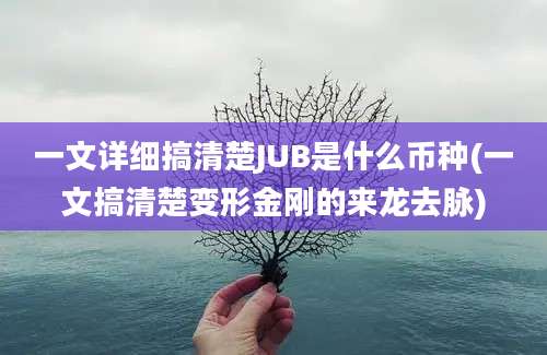 一文详细搞清楚JUB是什么币种(一文搞清楚变形金刚的来龙去脉)