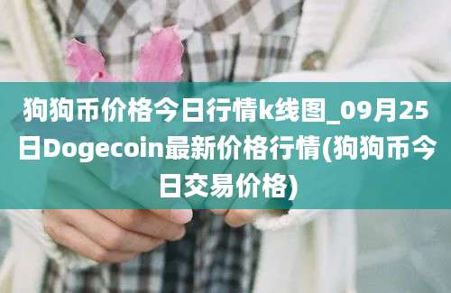 狗狗币价格今日行情k线图_09月25日Dogecoin最新价格行情(狗狗币今日交易价格)