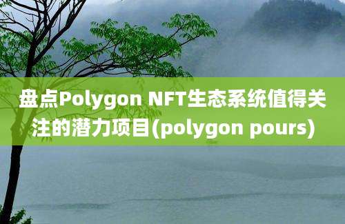 盘点Polygon NFT生态系统值得关注的潜力项目(polygon pours)