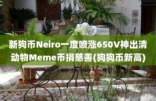 新狗币Neiro一度喷涨650V神出清动物Meme币捐慈善(狗狗币新高)