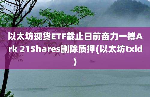 以太坊现货ETF截止日前奋力一搏Ark 21Shares删除质押(以太坊txid)