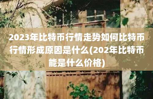 2023年比特币行情走势如何比特币行情形成原因是什么(202年比特币能是什么价格)