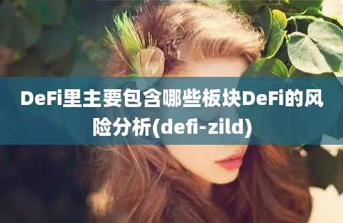 DeFi里主要包含哪些板块DeFi的风险分析(defi-zild)