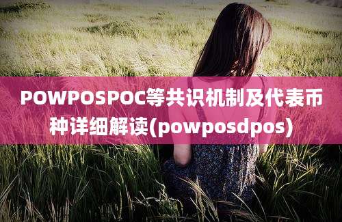 POWPOSPOC等共识机制及代表币种详细解读(powposdpos)