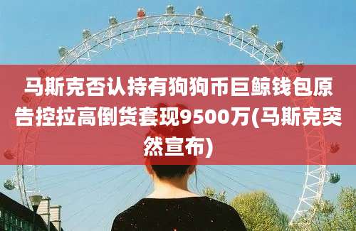 马斯克否认持有狗狗币巨鲸钱包原告控拉高倒货套现9500万(马斯克突然宣布)