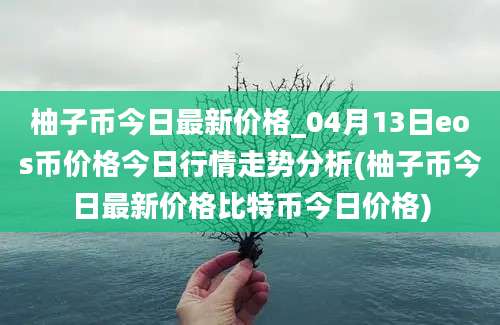 柚子币今日最新价格_04月13日eos币价格今日行情走势分析(柚子币今日最新价格比特币今日价格)