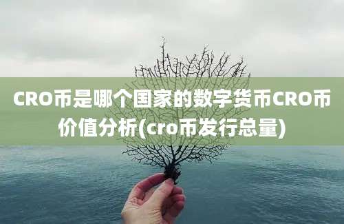 CRO币是哪个国家的数字货币CRO币价值分析(cro币发行总量)