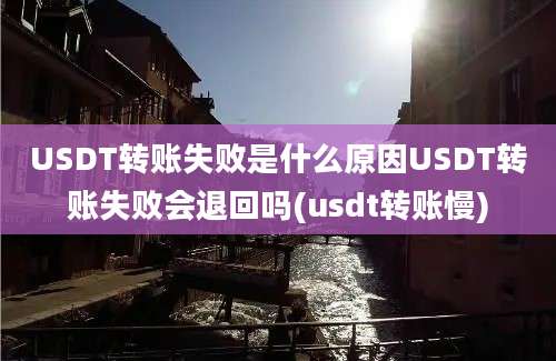 USDT转账失败是什么原因USDT转账失败会退回吗(usdt转账慢)