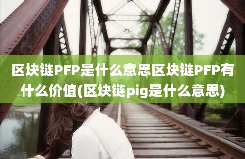 区块链PFP是什么意思区块链PFP有什么价值(区块链pig是什么意思)