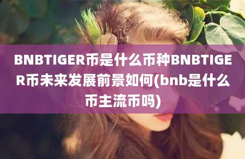 BNBTIGER币是什么币种BNBTIGER币未来发展前景如何(bnb是什么币主流币吗)