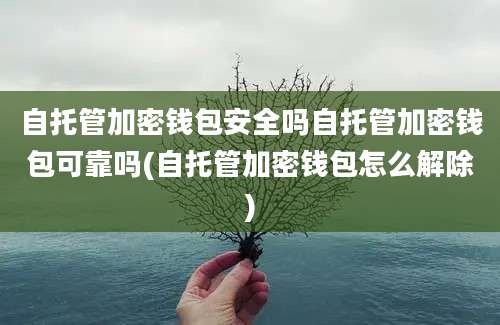 自托管加密钱包安全吗自托管加密钱包可靠吗(自托管加密钱包怎么解除)