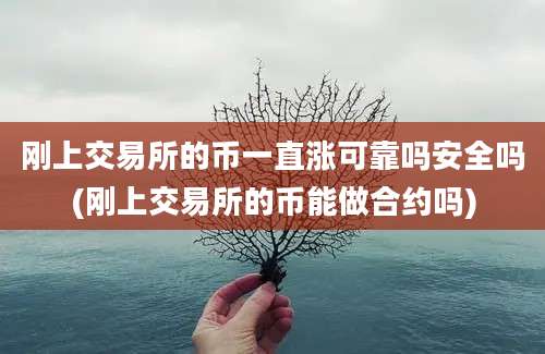 刚上交易所的币一直涨可靠吗安全吗(刚上交易所的币能做合约吗)