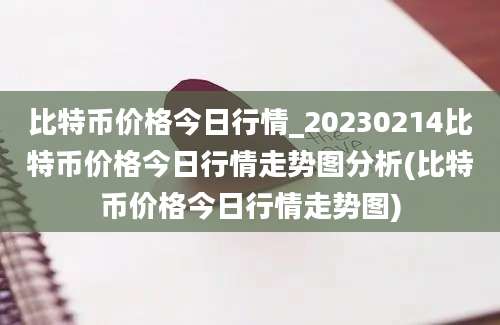 比特币价格今日行情_20230214比特币价格今日行情走势图分析(比特币价格今日行情走势图)