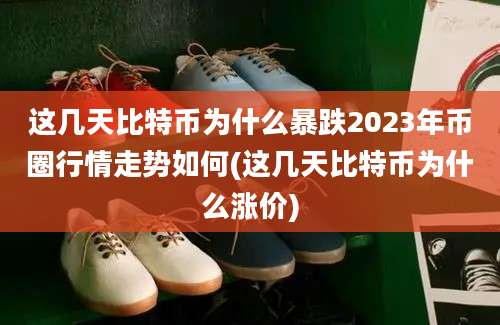 这几天比特币为什么暴跌2023年币圈行情走势如何(这几天比特币为什么涨价)