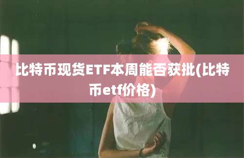 比特币现货ETF本周能否获批(比特币etf价格)