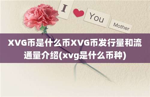 XVG币是什么币XVG币发行量和流通量介绍(xvg是什么币种)