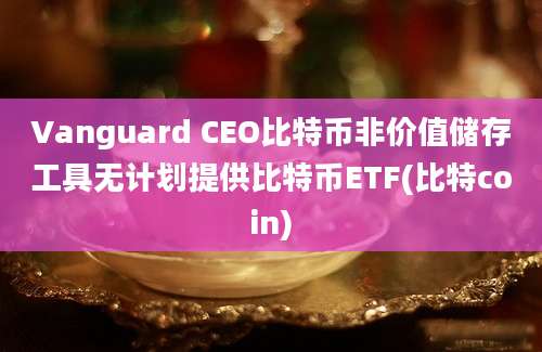 Vanguard CEO比特币非价值储存工具无计划提供比特币ETF(比特coin)